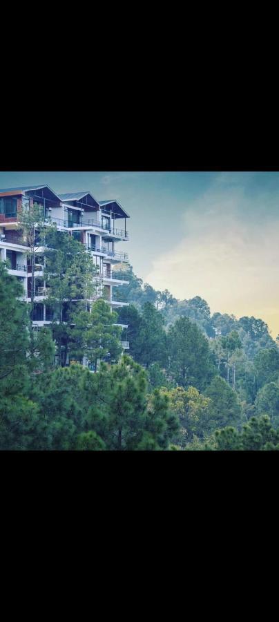 Host Jatin Mountain Crest Kasauli 7Oi827O7O3公寓 外观 照片